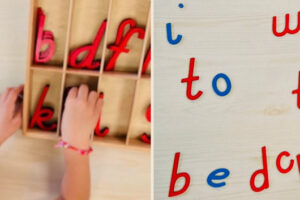 news-banner-T1-03b news-banner-T1-03b